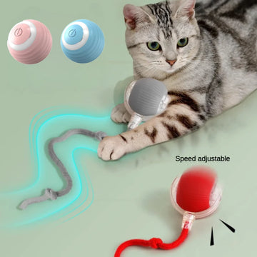 Electric Cat Ball